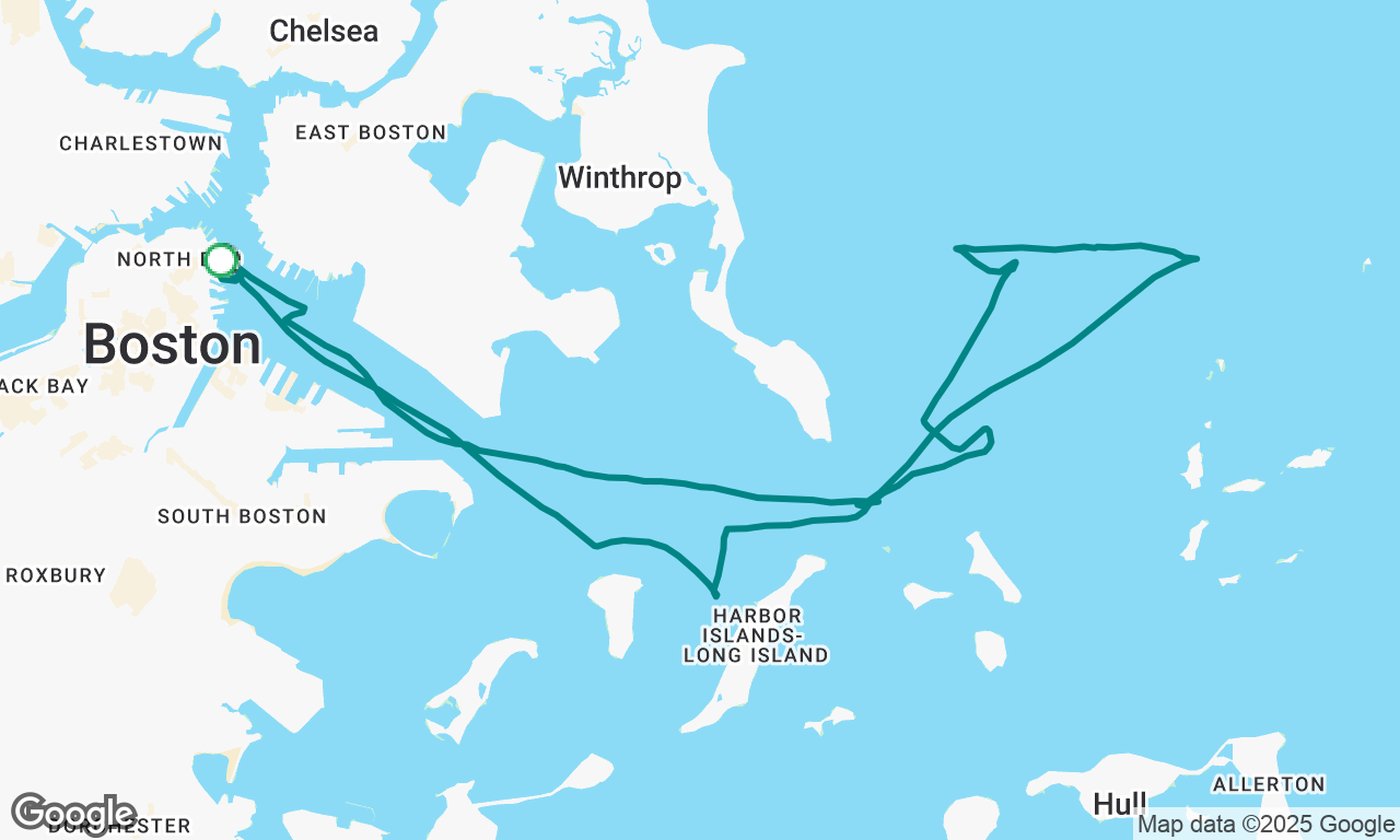 Cruise ships in the night