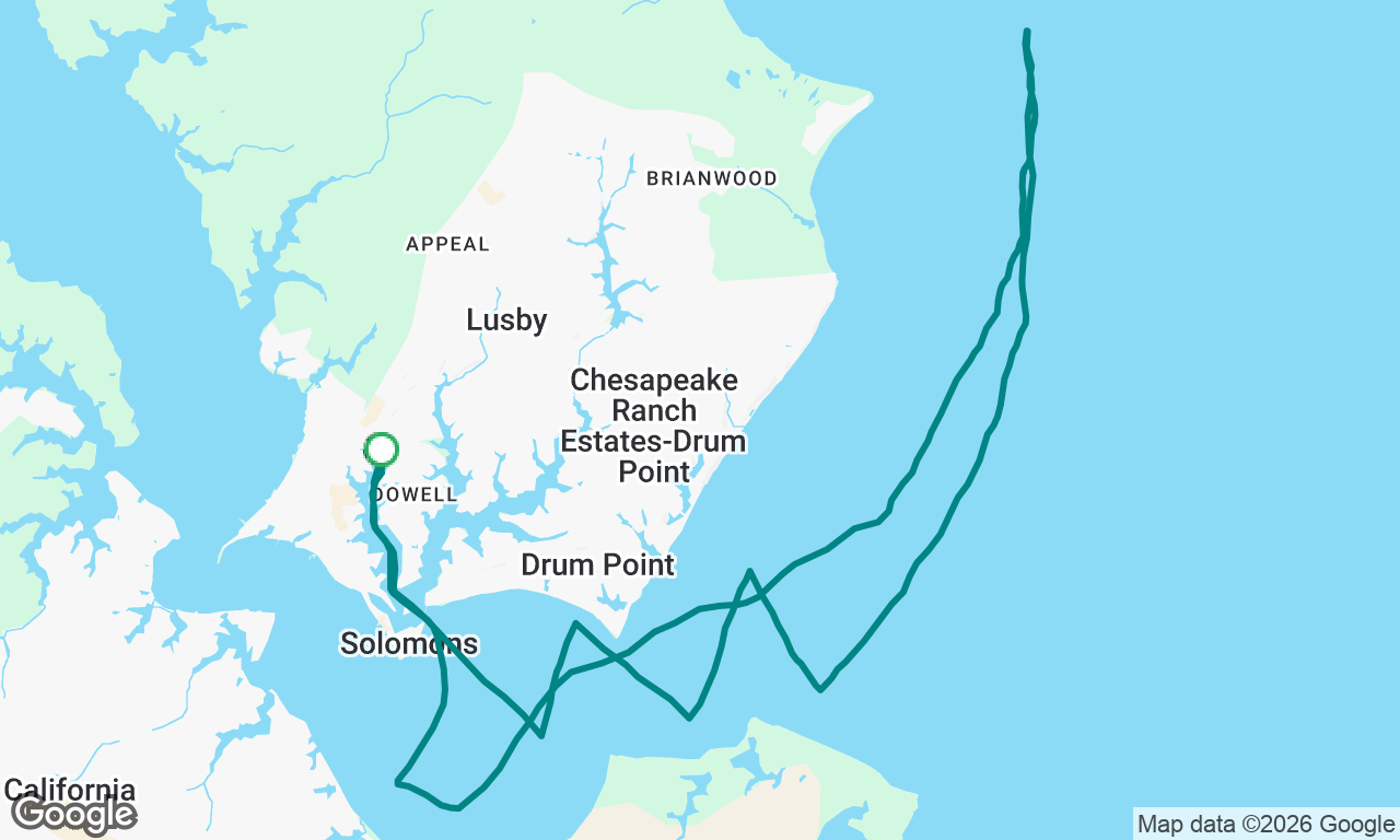 To the lighthouse and back