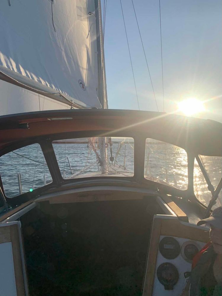 Voyage photo from Fresh evening cruise