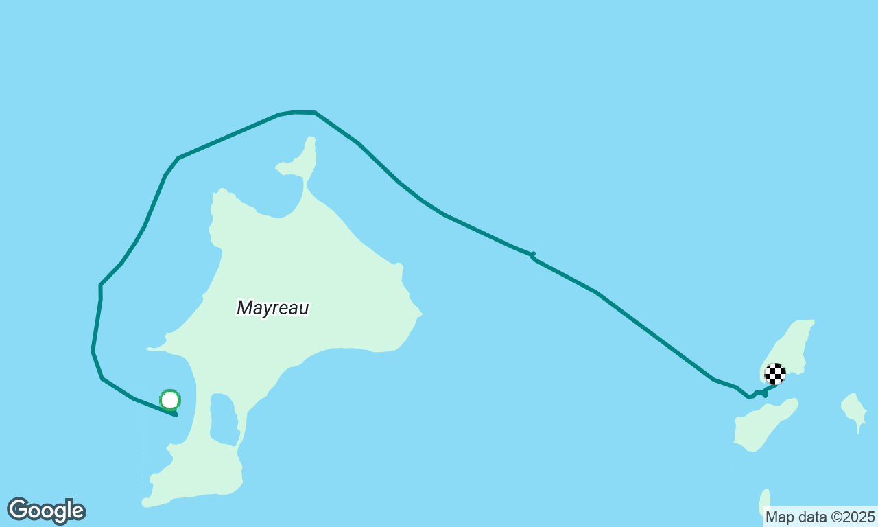 Snorkelling with turtles 