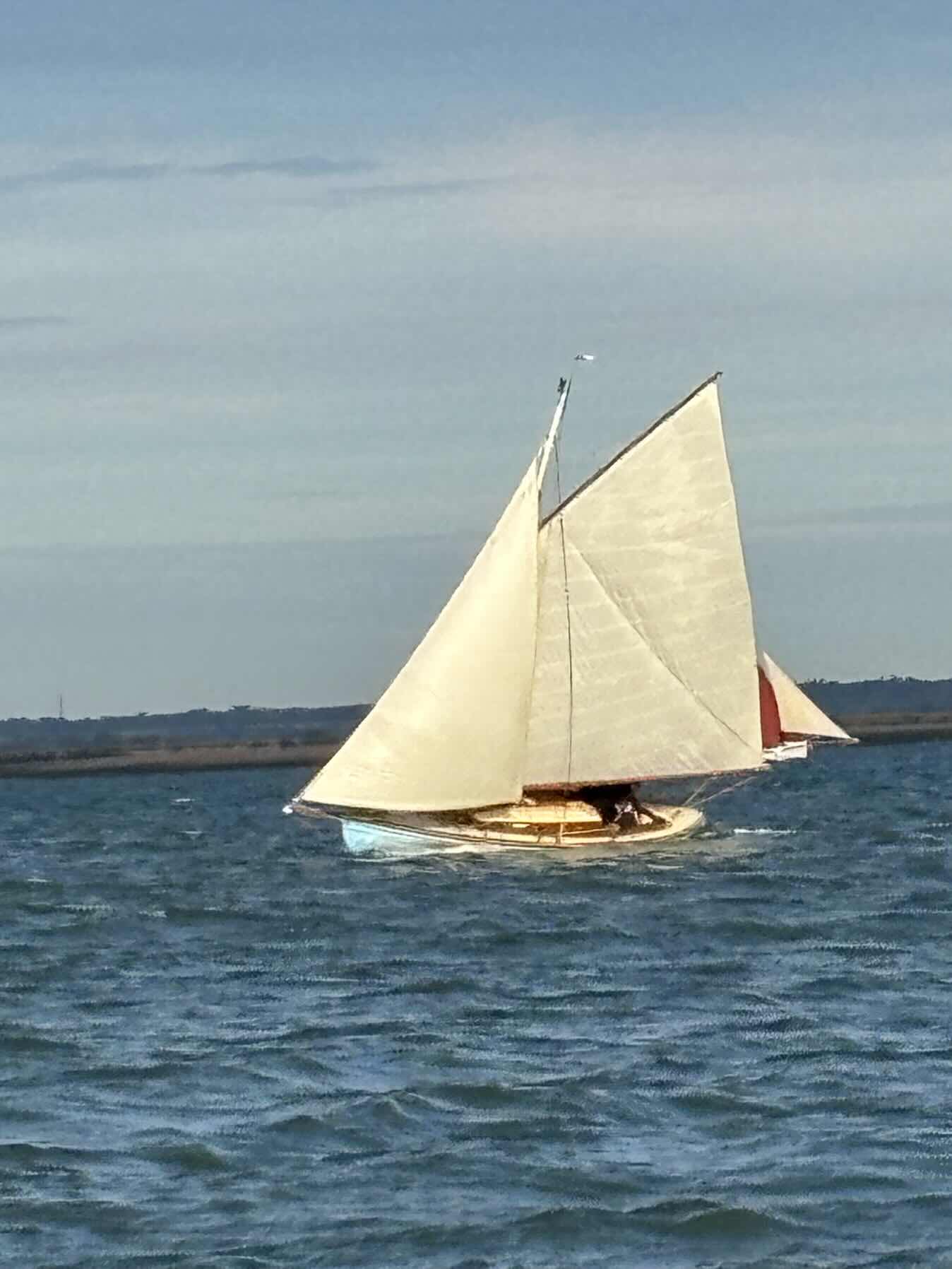 Maldon Town Regatta _9B9D7444-FF6B-4528-BF79-9C0F43998239