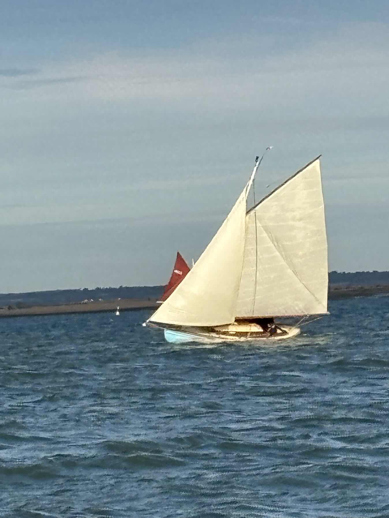 Maldon Town Regatta _CFD62195-96C5-4F8F-85EE-781A97D7C78C
