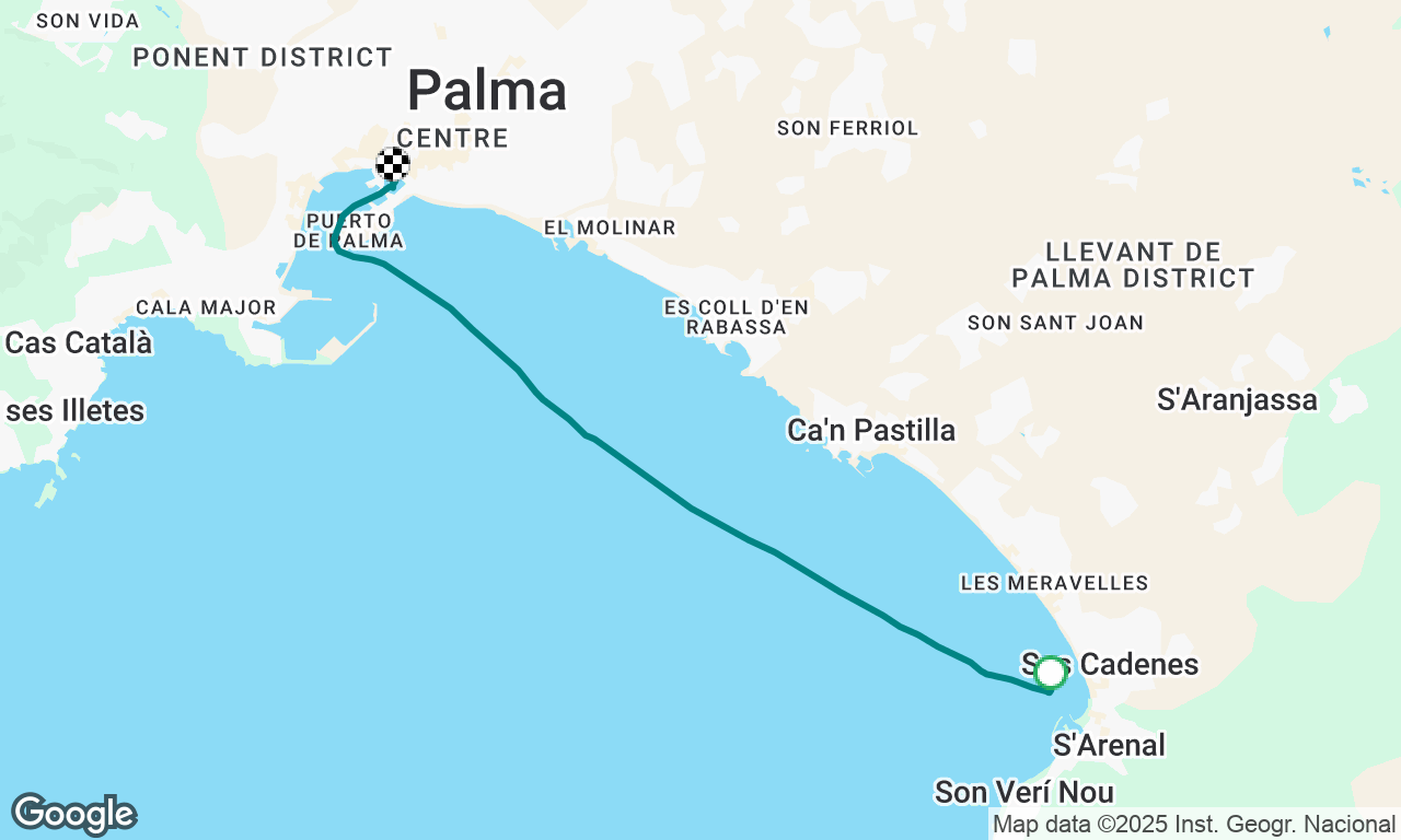 sarenal-Palma