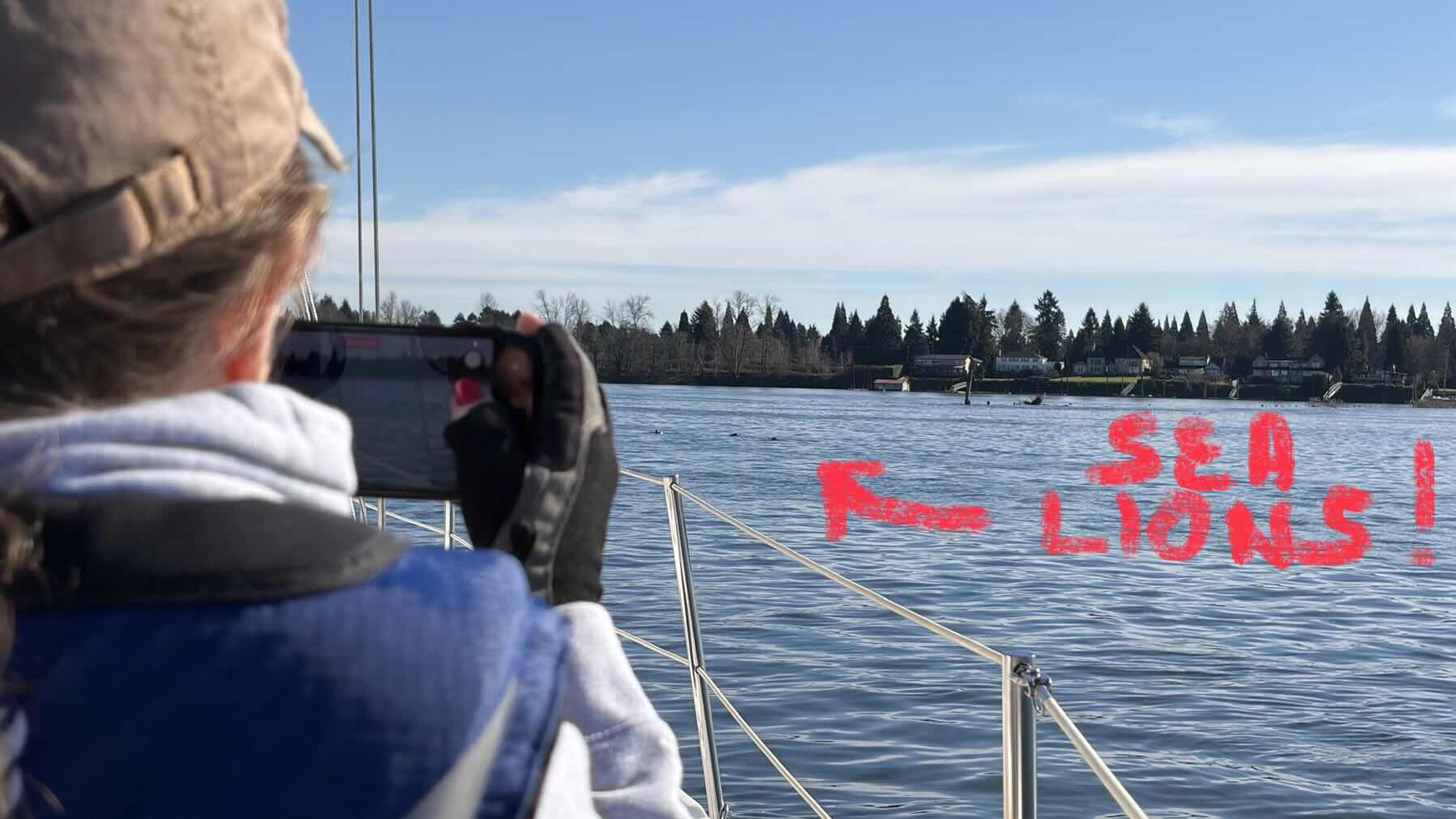 Sea lions and sea gals_B5C4504A-9BF0-4D1C-9BD5-6123DE1D152A