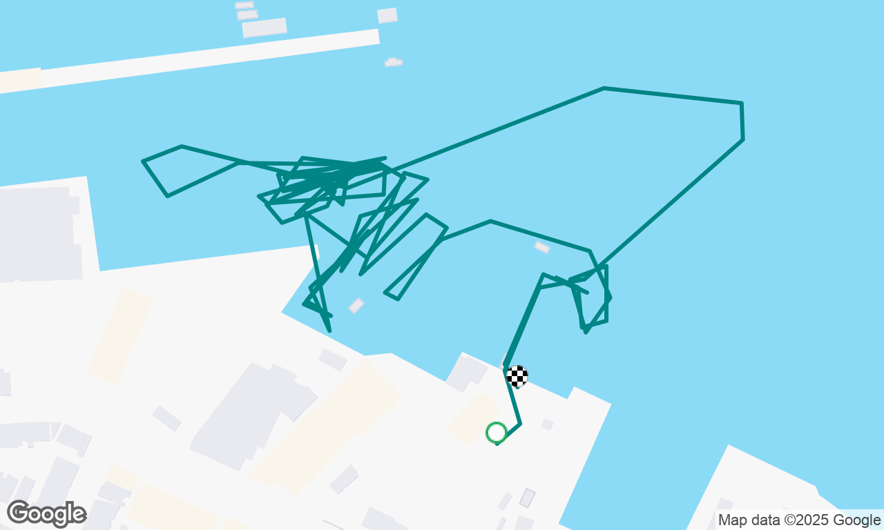emergency dock training