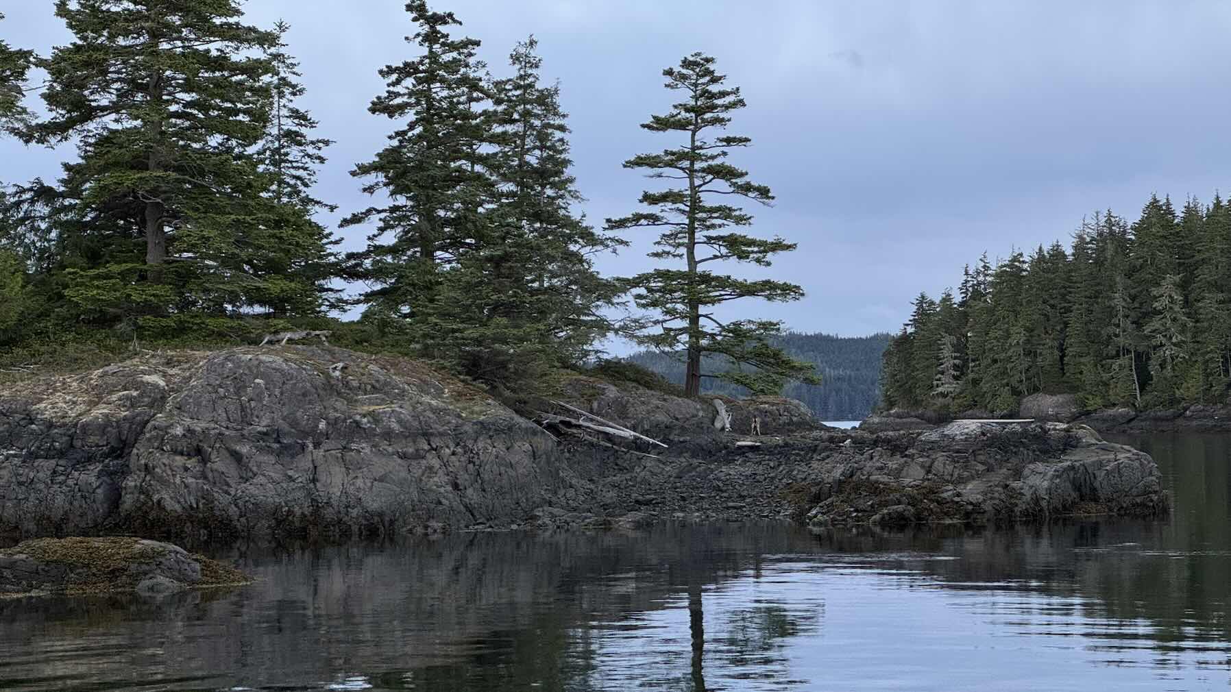 JibSet RRR 2026 7
Spout Cove to Cullen Harbour_54BAF6F2-6C88-4E6F-BBD8-F91AEC99C190