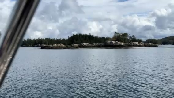 JibSet RRR 2026 7
Spout Cove to Cullen Harbour_6494215C-CC37-43EF-85A3-3DCD39E82619