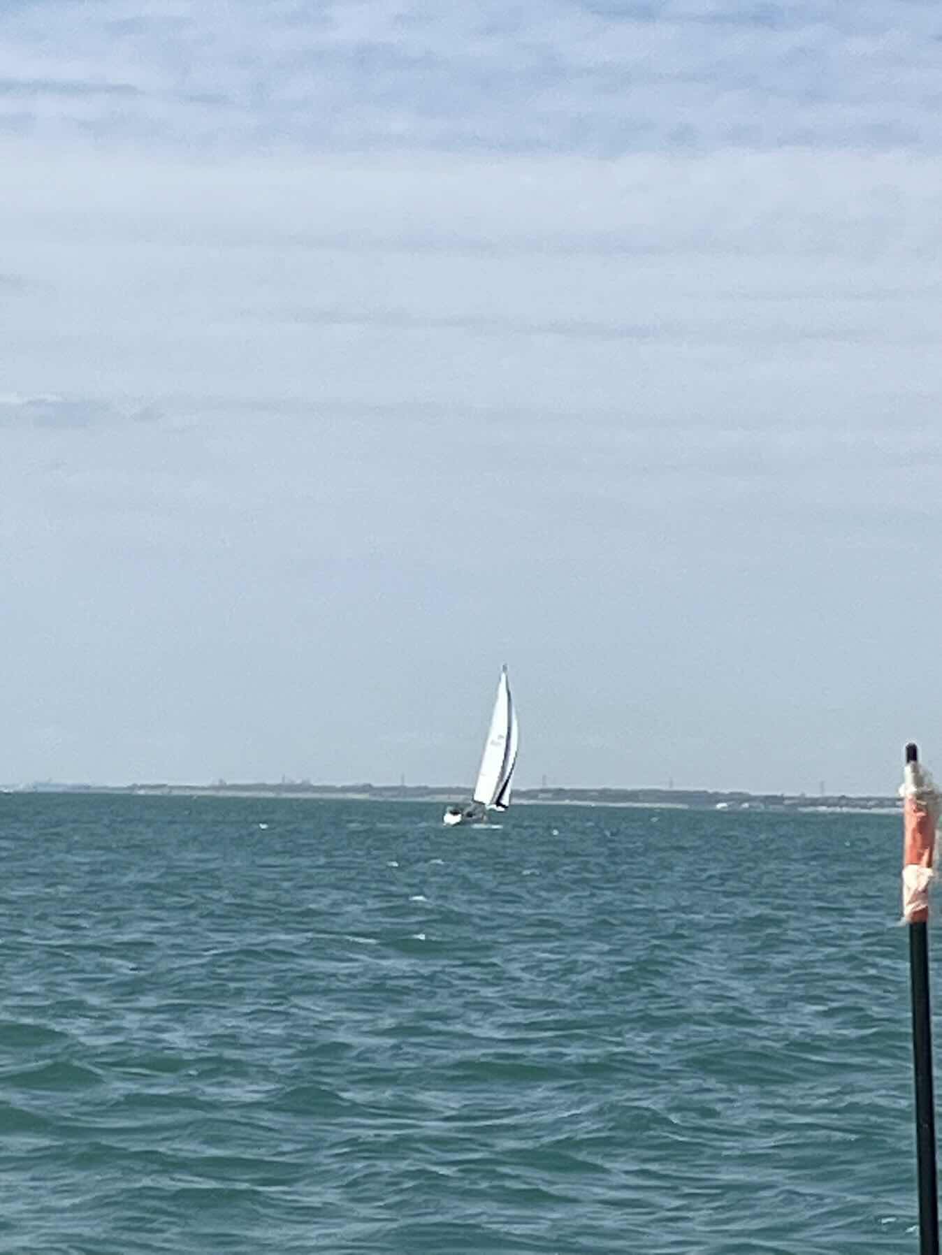 Prometheus Client Day watching SailGP_2AD0FA03-D7C8-4C1E-B5EA-1BD816CF6F3D