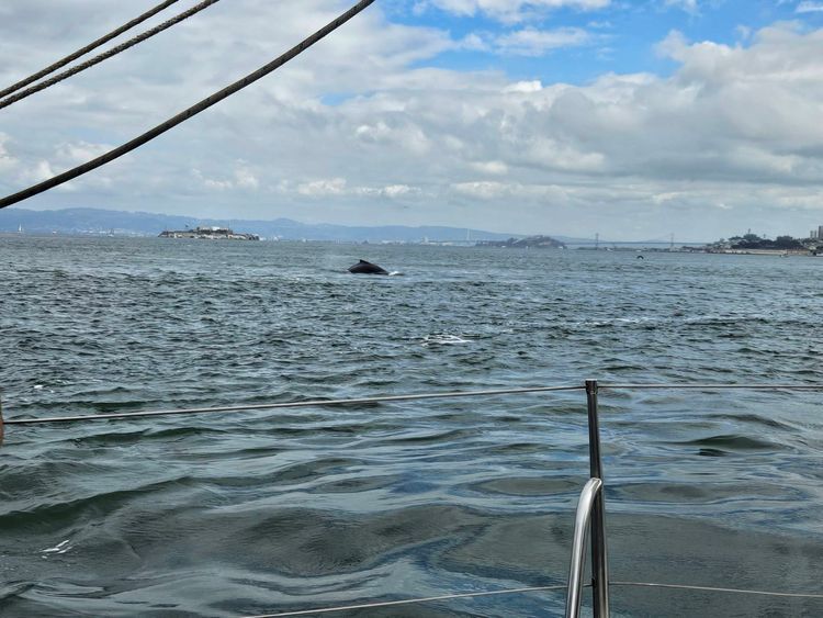 Voyage photo from bluewater on golden bear