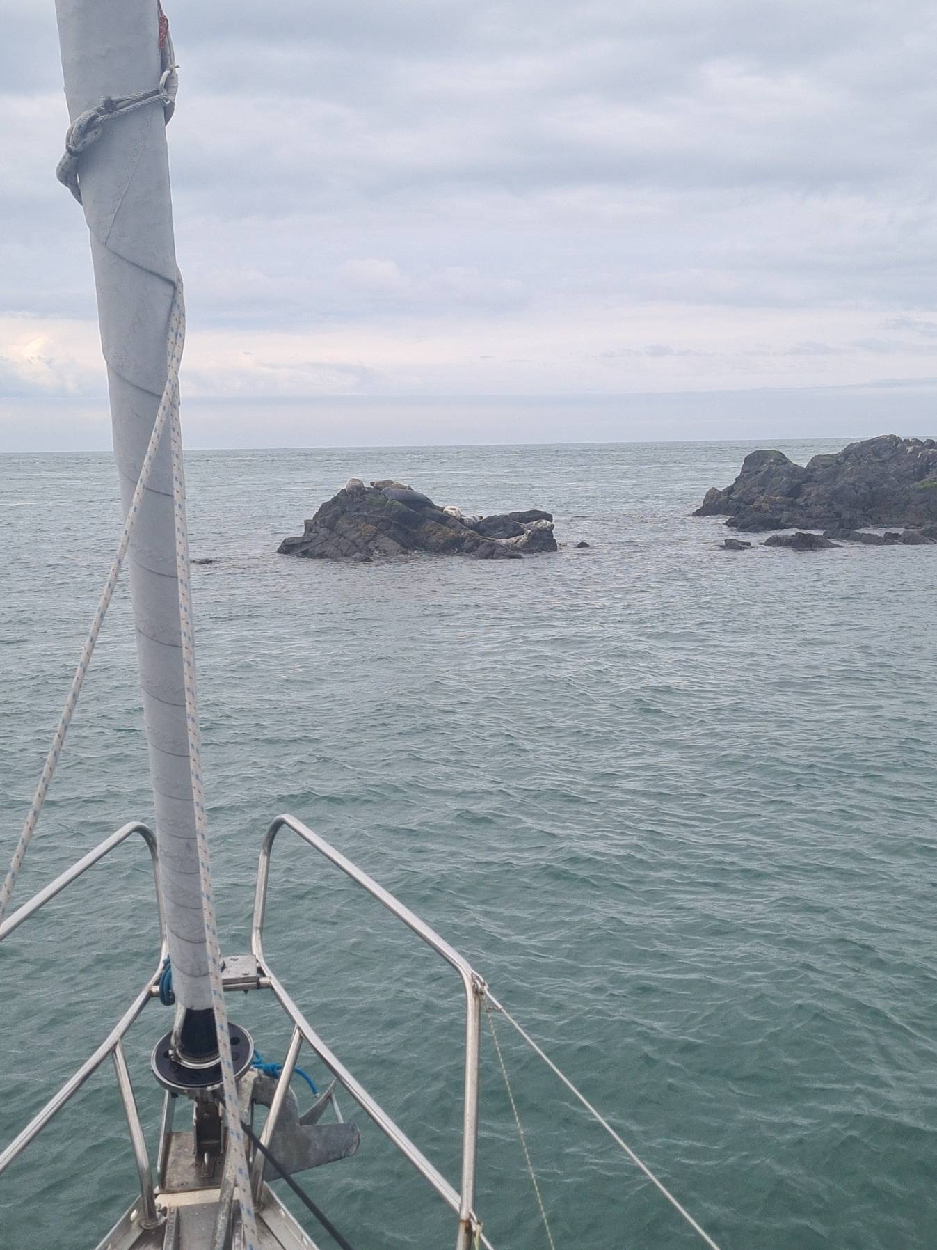 cruise to The Skerries_FD3BA827-544E-4117-B7A3-1BECC903D5D5