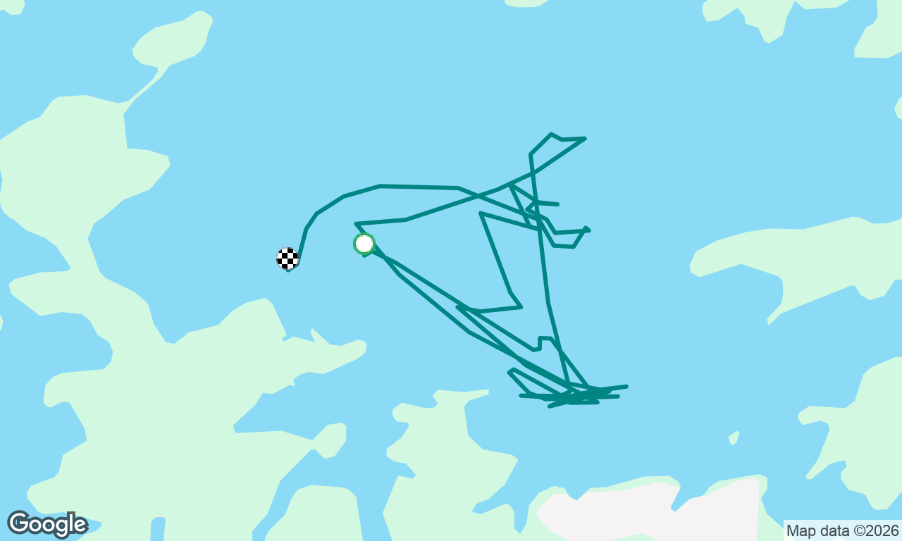 Regatta 