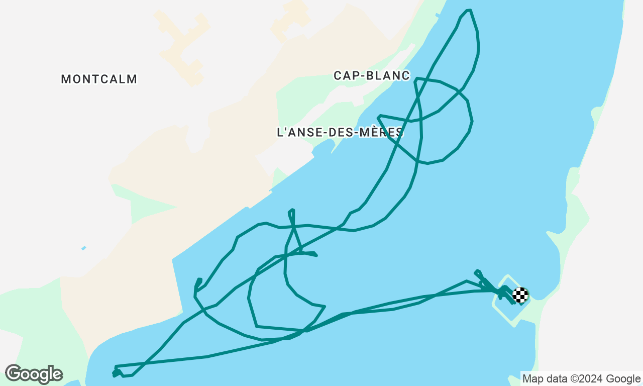 Advanced cruising standard 4/4 - Motor maneuvering practices