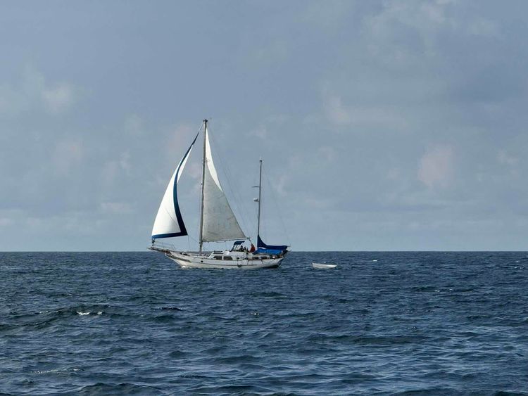 Voyage photo from Marko, Jeff and Jay