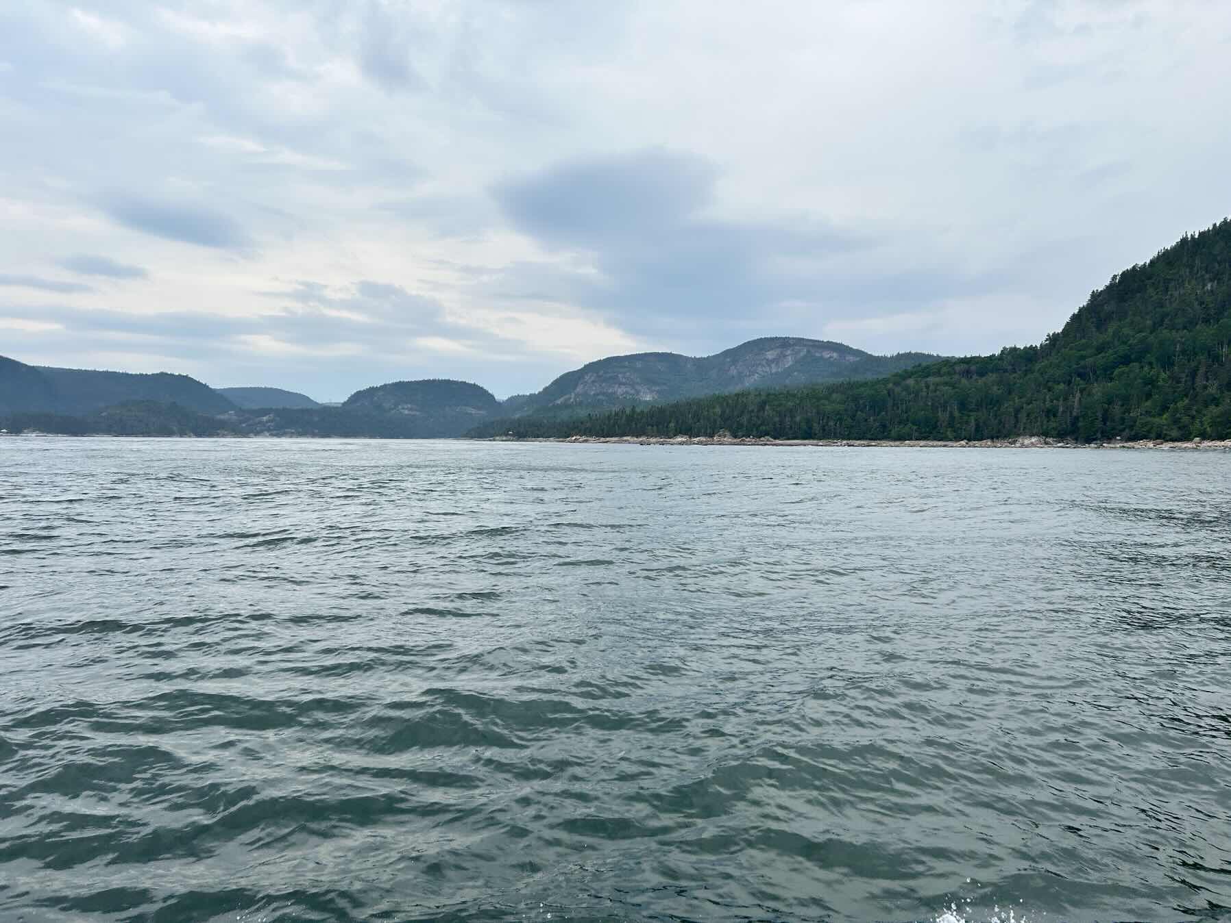 Stage Intl. Bareboat - Tadoussac à Cap-à-l’Aigle_BFDBB1E1-5067-4BA8-B281-4CC31898C0B8