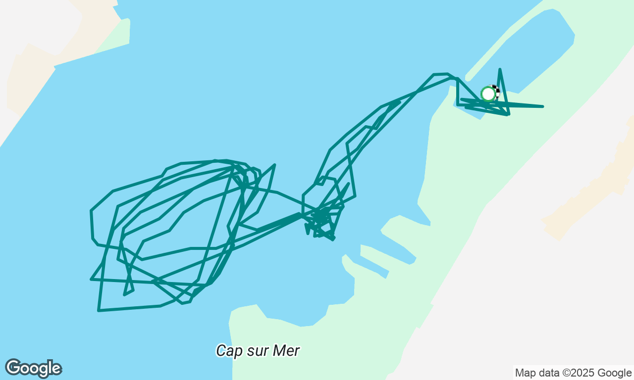 Brevet élémentaire, jour 2