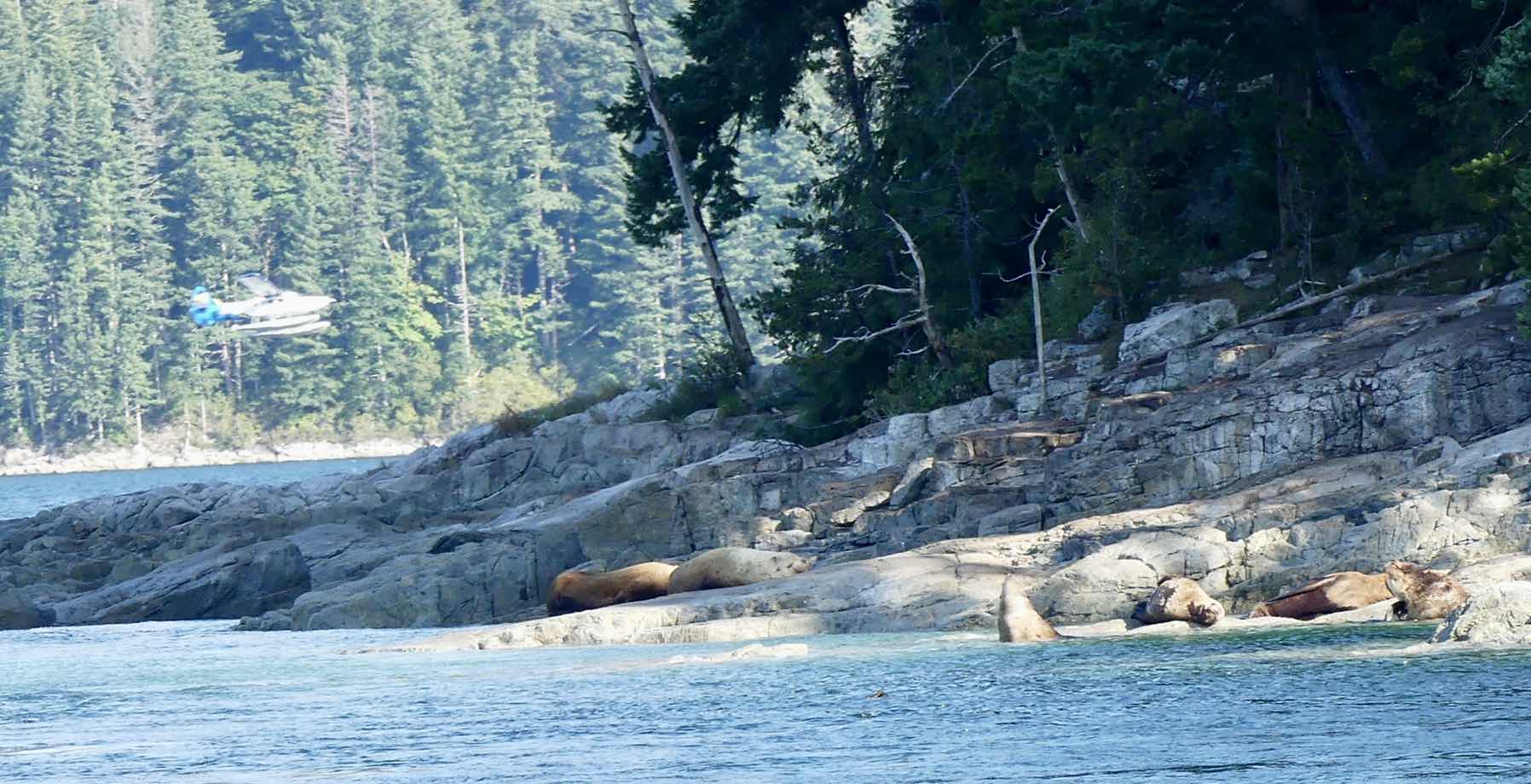 Part 1 Bickley Bay to Toba_5919CD34-4C49-4849-BCCA-3DF99FE158B4