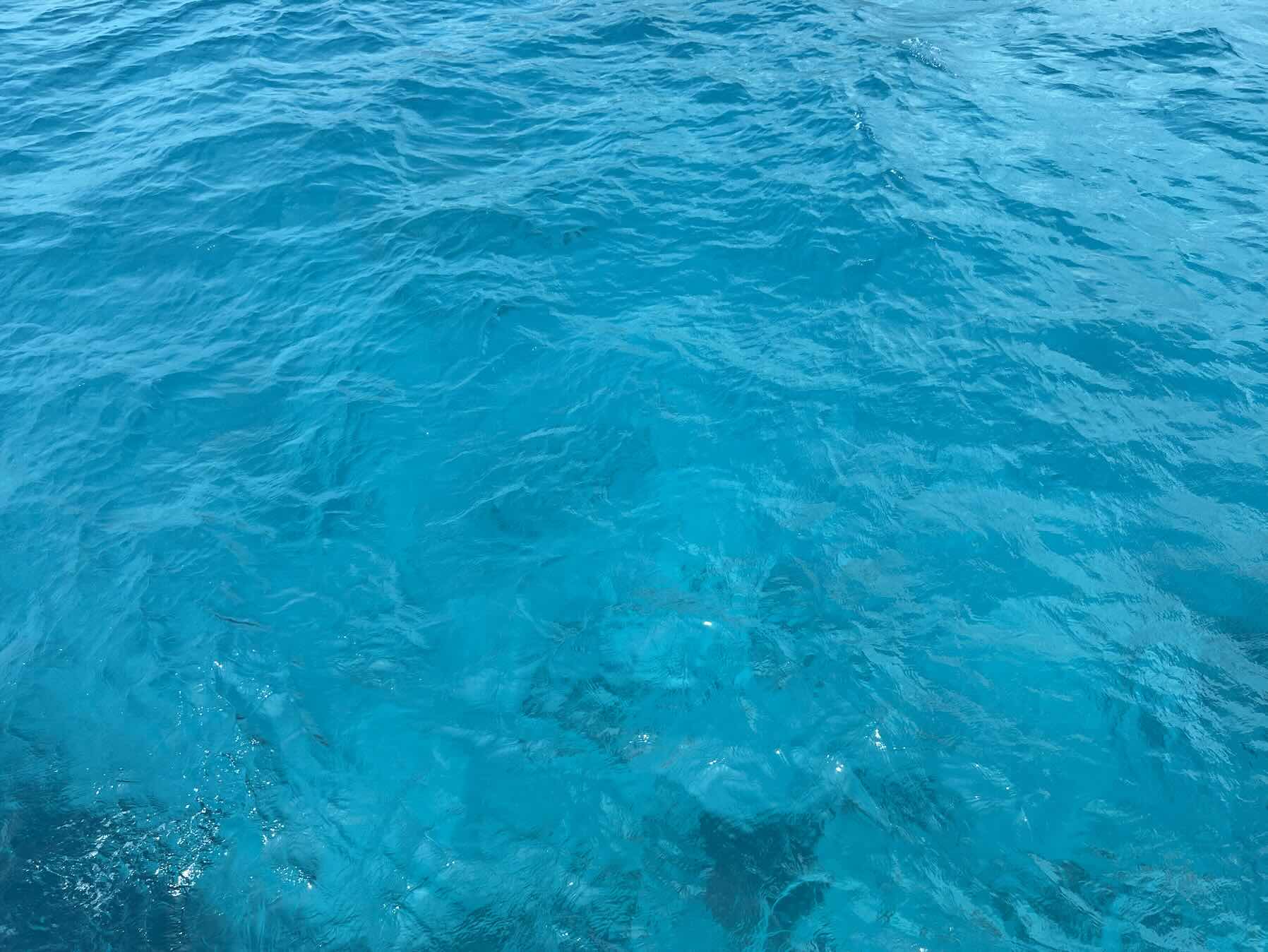 Union Island to Tobago Cays_CD0D7558-D422-47D7-9C48-01E35CE86A5A