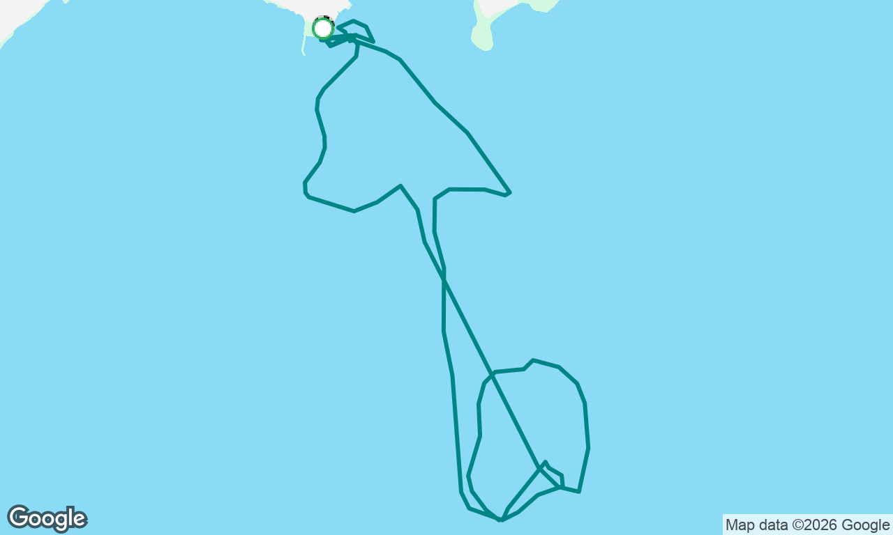 Swen Voile Manoeuvres et allures