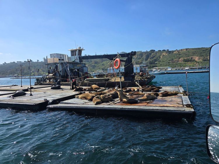 Voyage photo from sp5 with Bret on 699