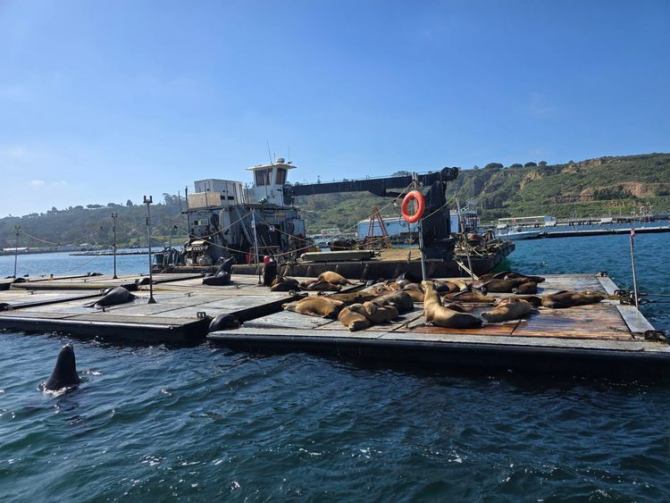 Voyage photo from sp5 with Bret on 699