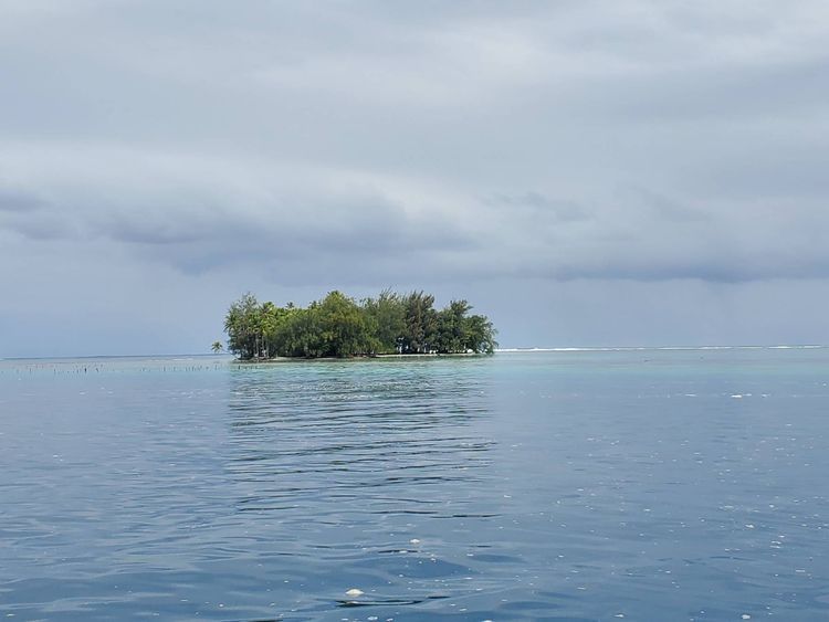Voyage photo from Baie Tapuamu-Bora Bora