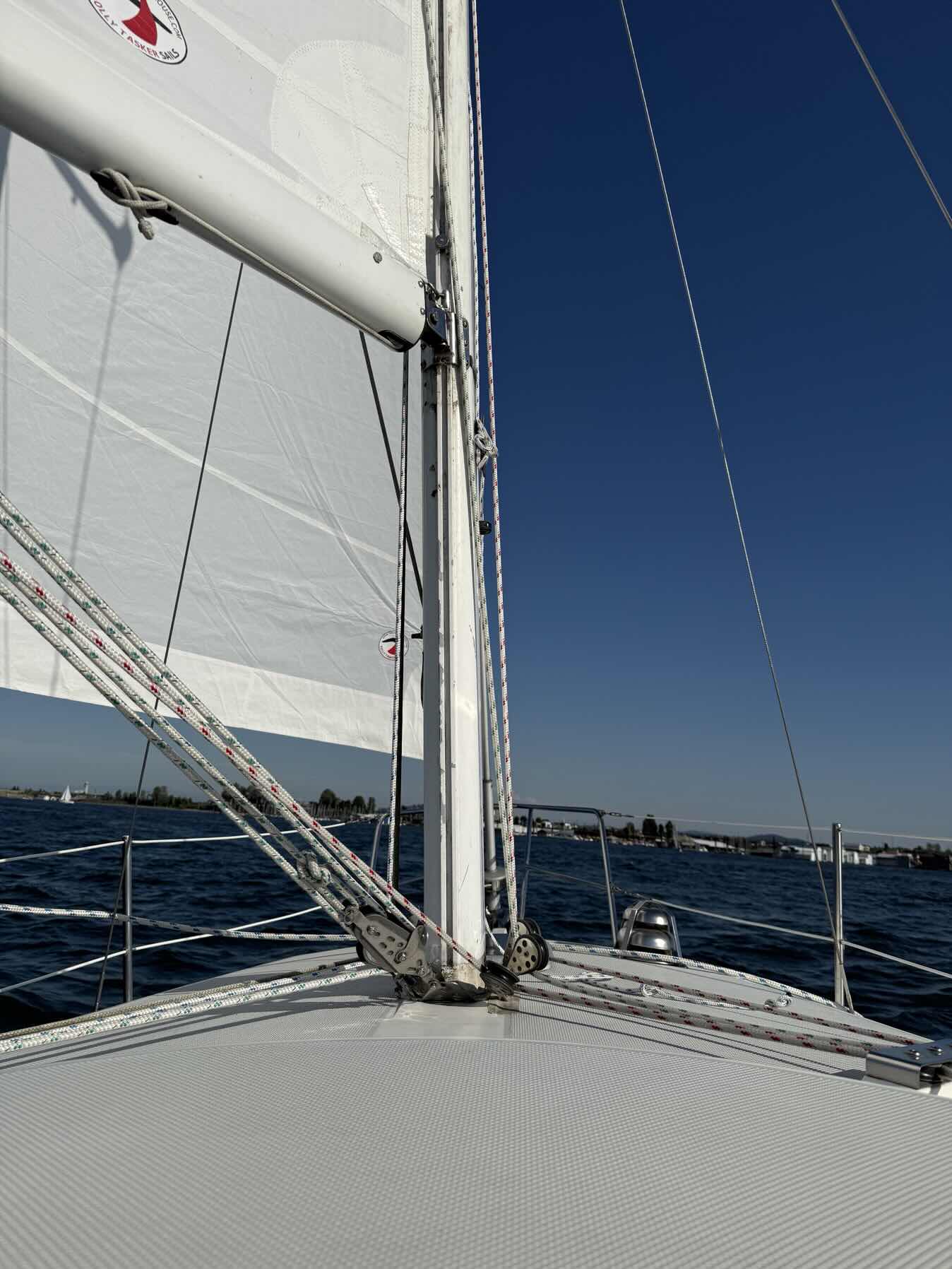 ISC sail_8EC2E742-7FF6-43E7-8B7A-990DE5C3948A