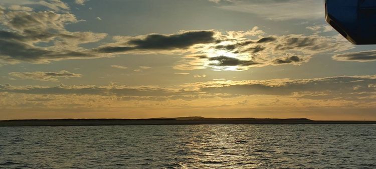 Voyage photo from Made it to the wadden