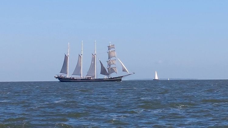 Voyage photo from Made it to the wadden