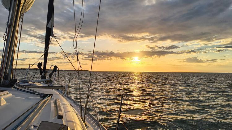 Voyage photo from Made it to the wadden