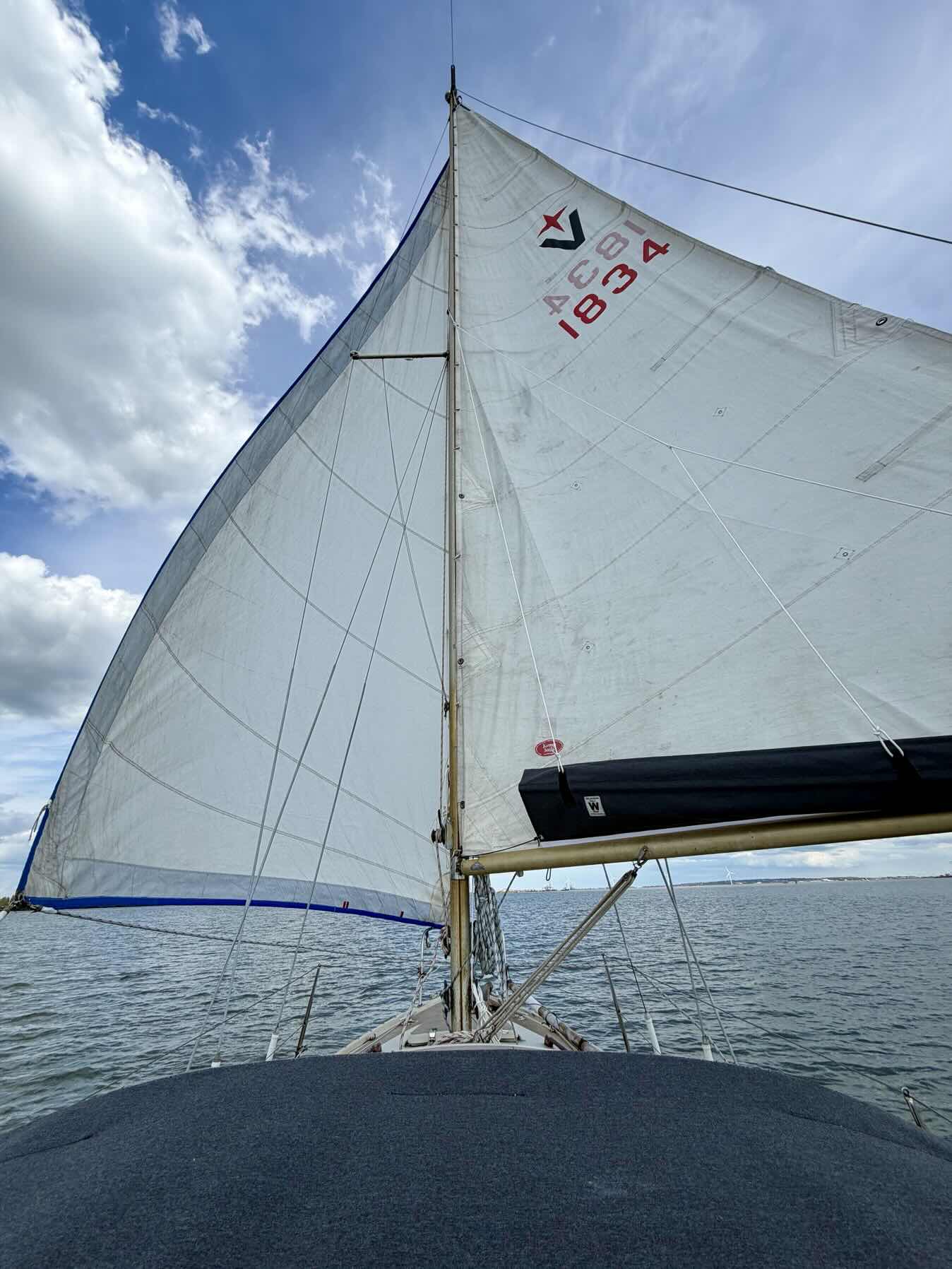 Montgomery Sail _C7CC9EA2-3DBE-4797-AFD5-2E536DB01B95