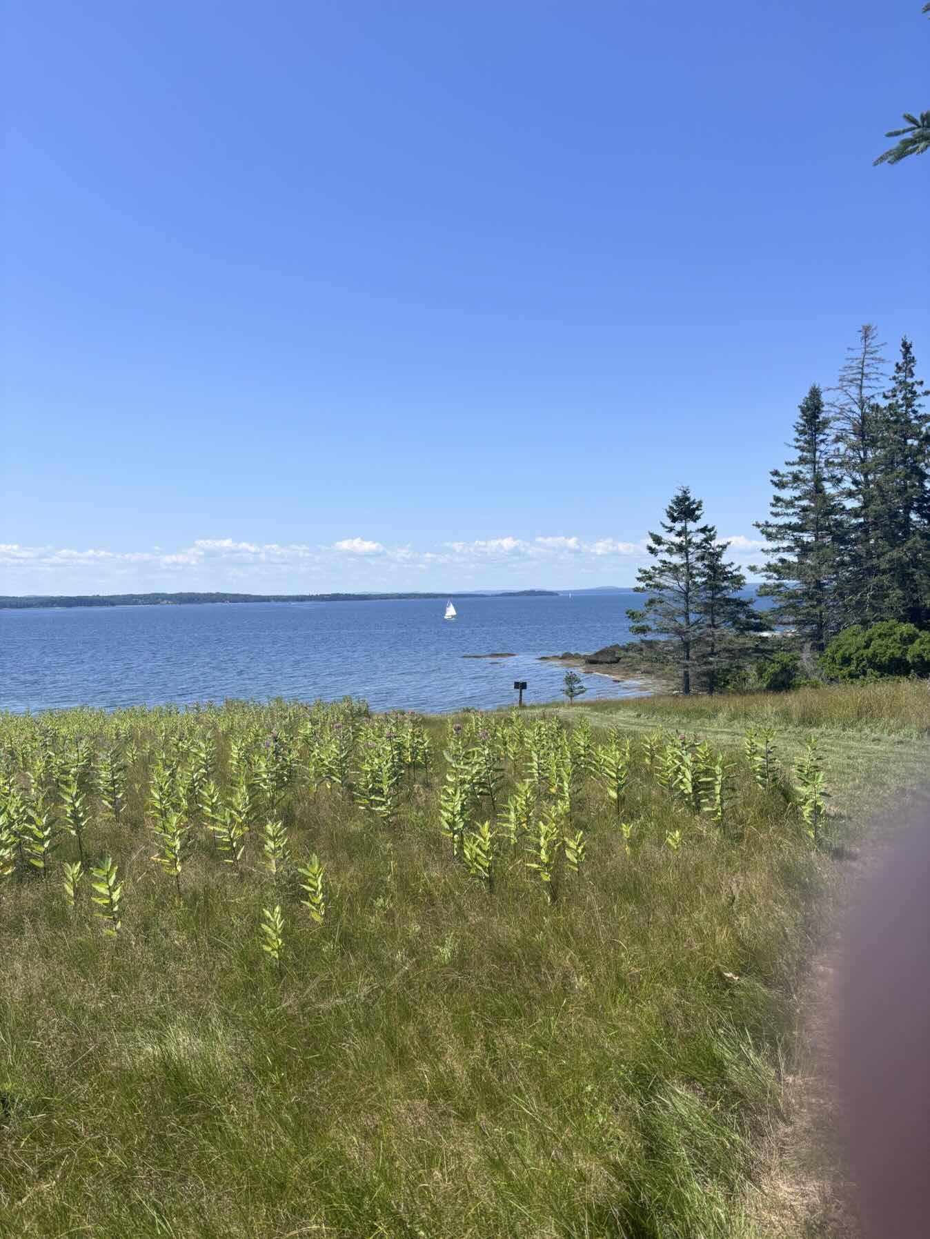 Penobscot Bay, Maine Day 1 continued_FBD8283E-92DB-4F2B-87A3-794F83AACBB6
