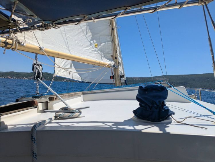 Voyage photo from Navar to Movida Anchorage 
