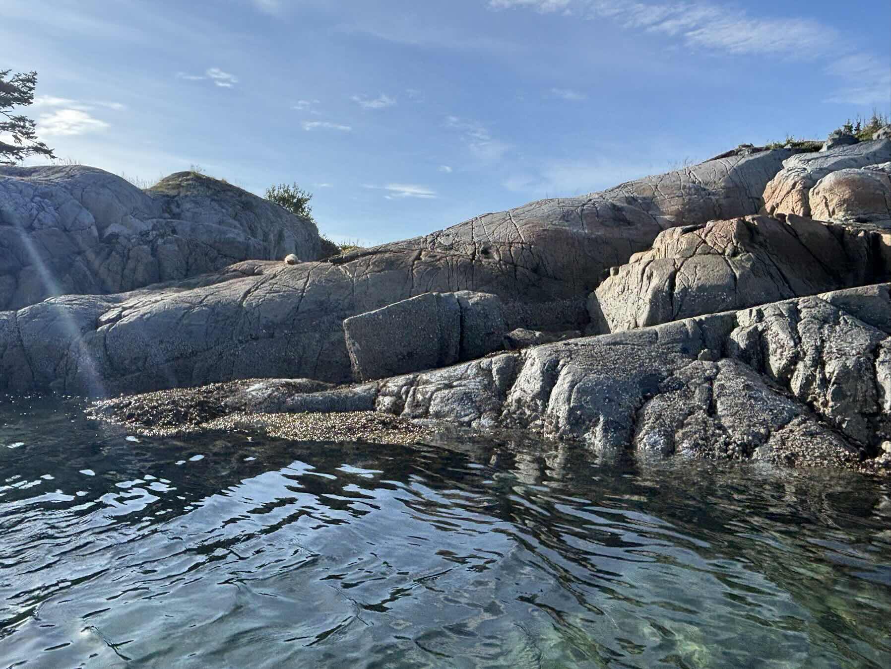 Day 14 - Lagoon Cove to Goat Islets _8E5D8123-17AD-44AB-B164-9FDC0CF73E2C