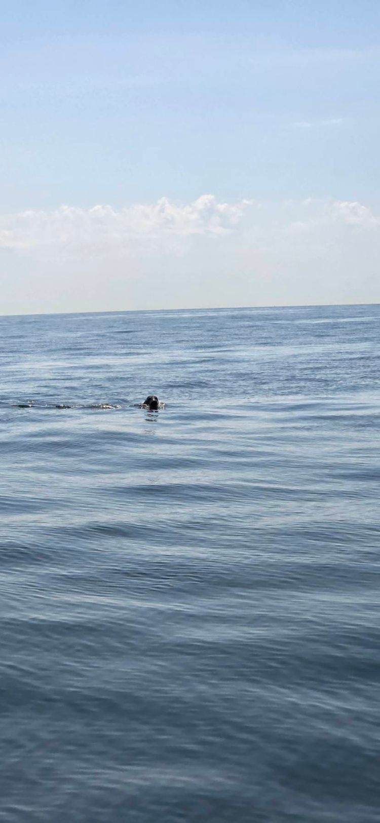 Voyage photo from Nieuwpoort to Ramsgate