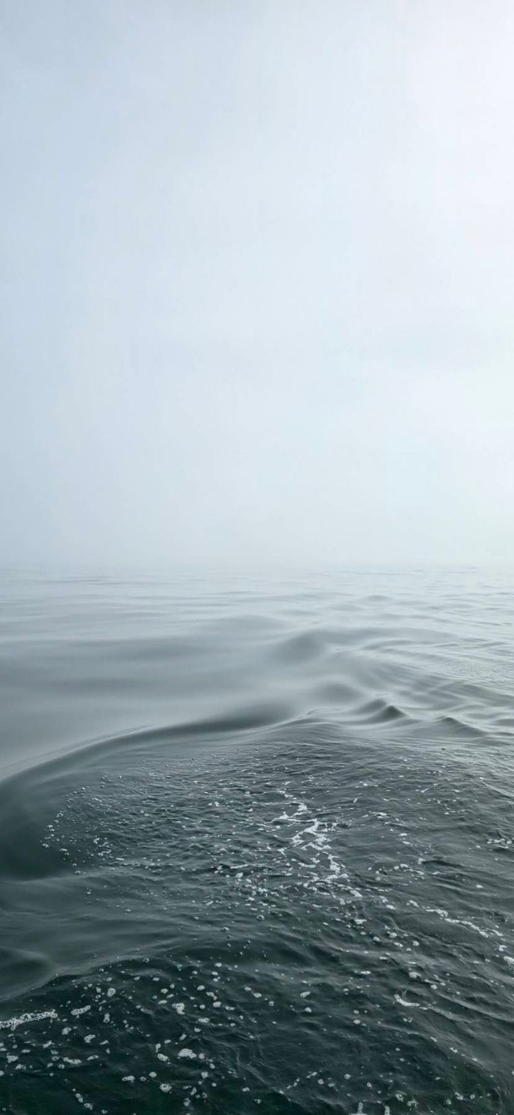 Voyage photo from Nieuwpoort to Ramsgate