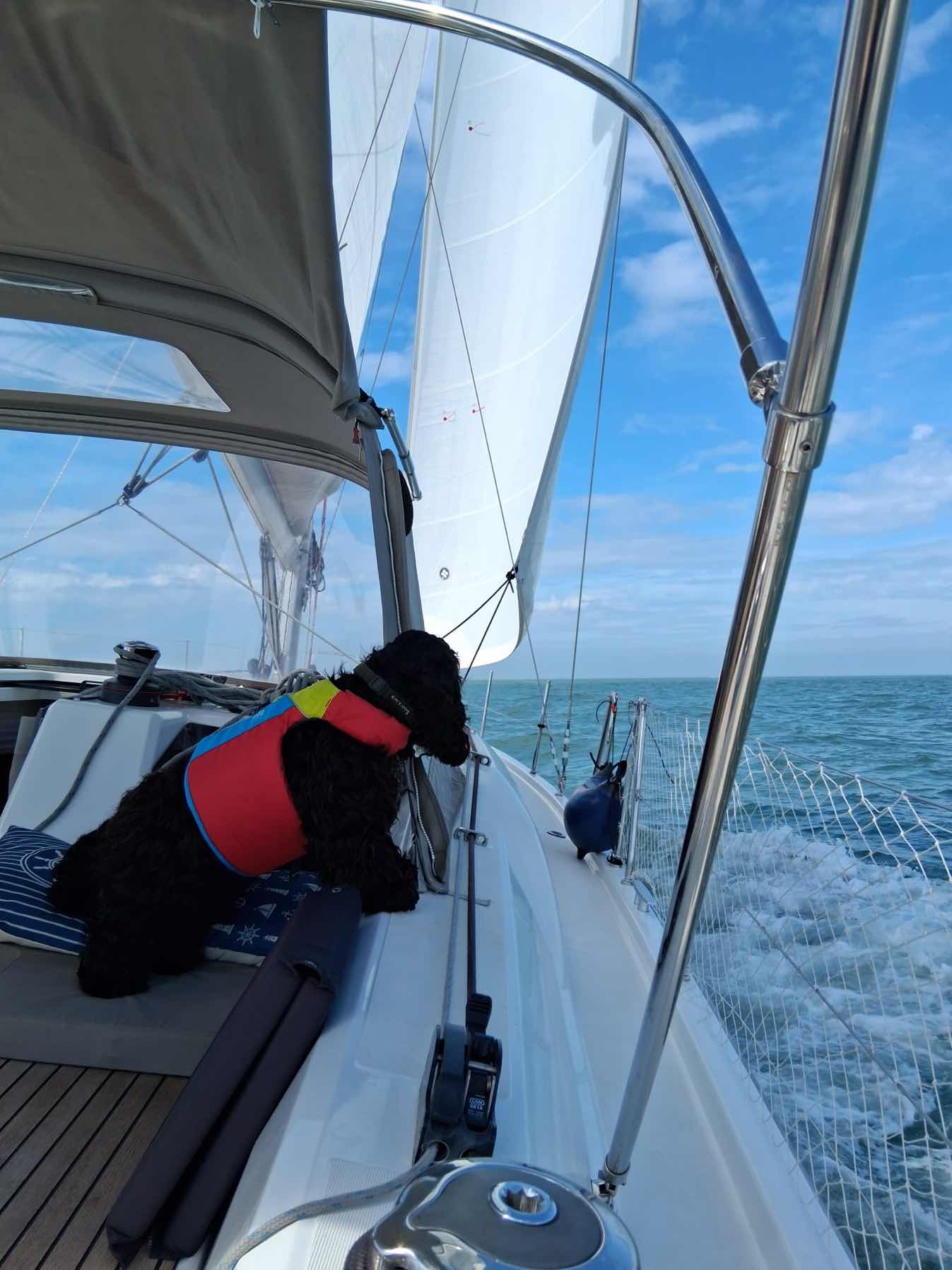 East Head, Chichester to Braye Harbour, Alderney_017BA6B5-C485-4268-8415-76124F803601