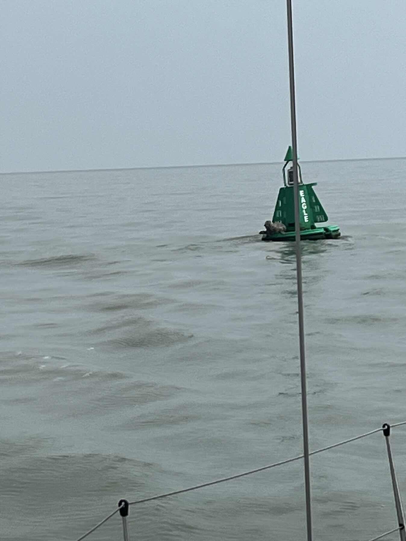 EAORA Pattinson Cup. Burnham to West Mersea. _320BD72F-2E5F-4A66-BC15-7E87DE1D9195