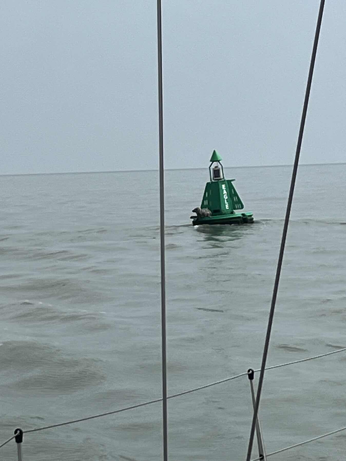 EAORA Pattinson Cup. Burnham to West Mersea. _B53A1898-D11F-4993-A502-404920EF7E41