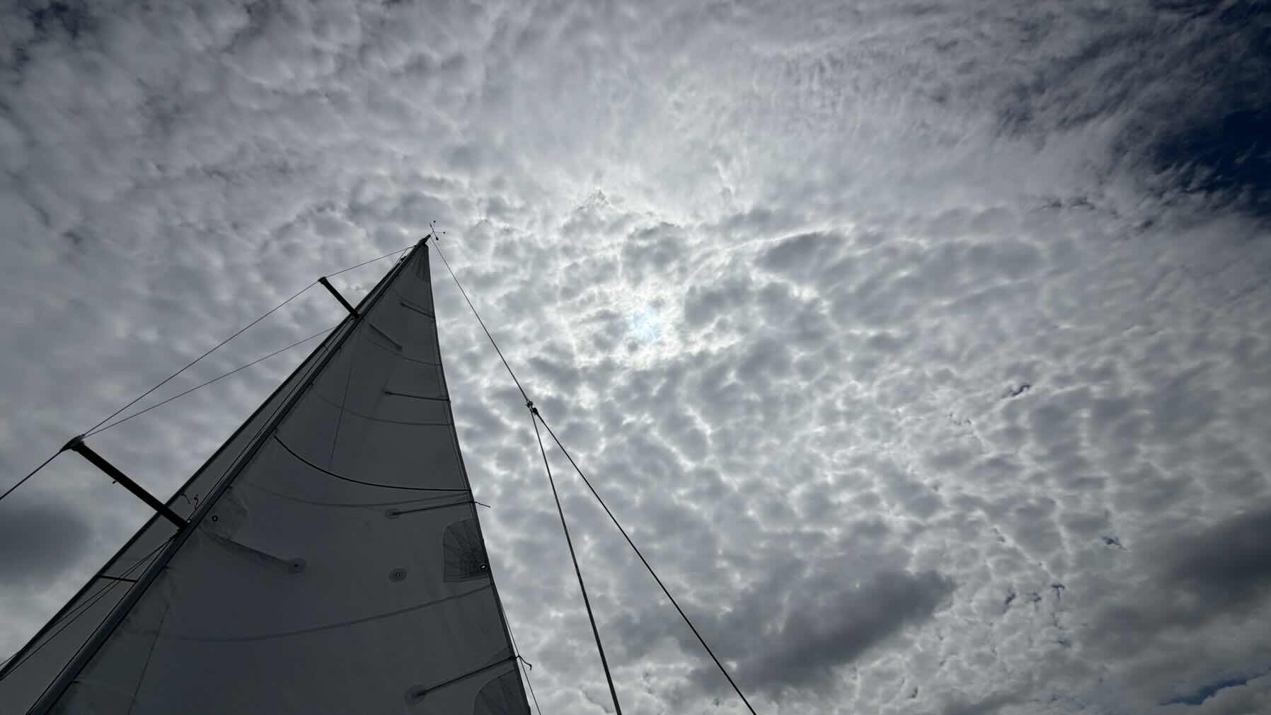 Mother’s Day Brunch (oh, and we sailed too!)_8DA40521-105B-4DA6-ACEC-8084A7435EF3