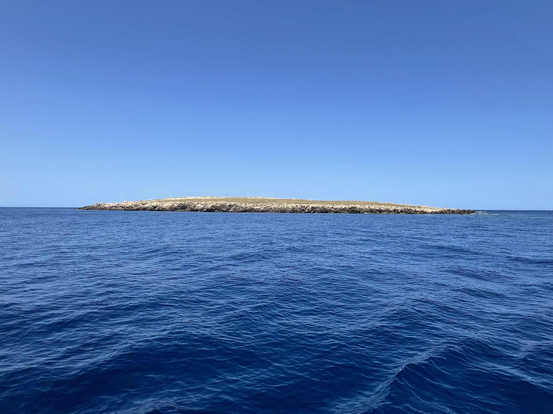 North minorca_6193CEE2-5D56-4BAD-8616-22E04605706C