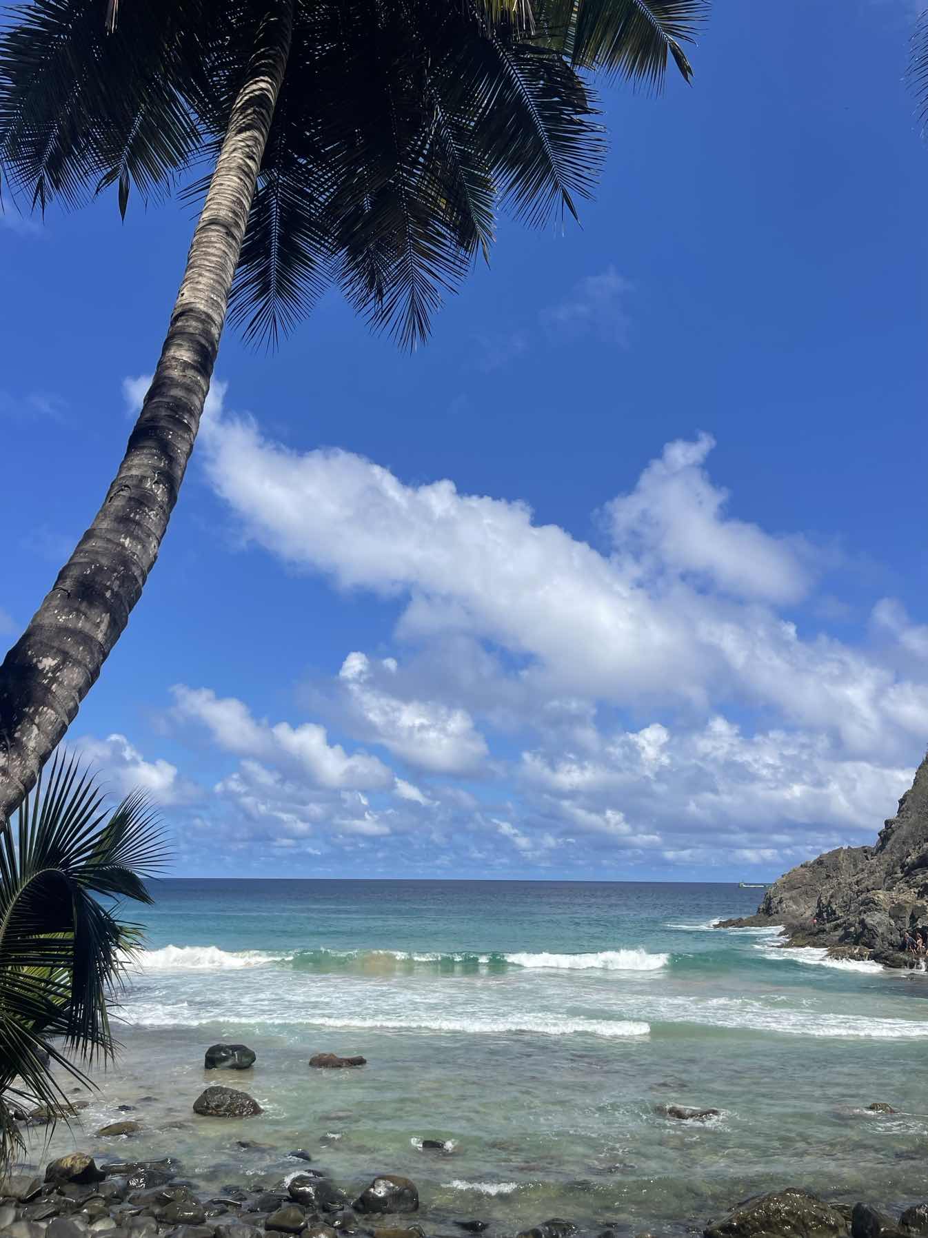 Noronha to Recife - Hello Brazil!_F9867104-A8D8-42FD-A543-0D562A628232