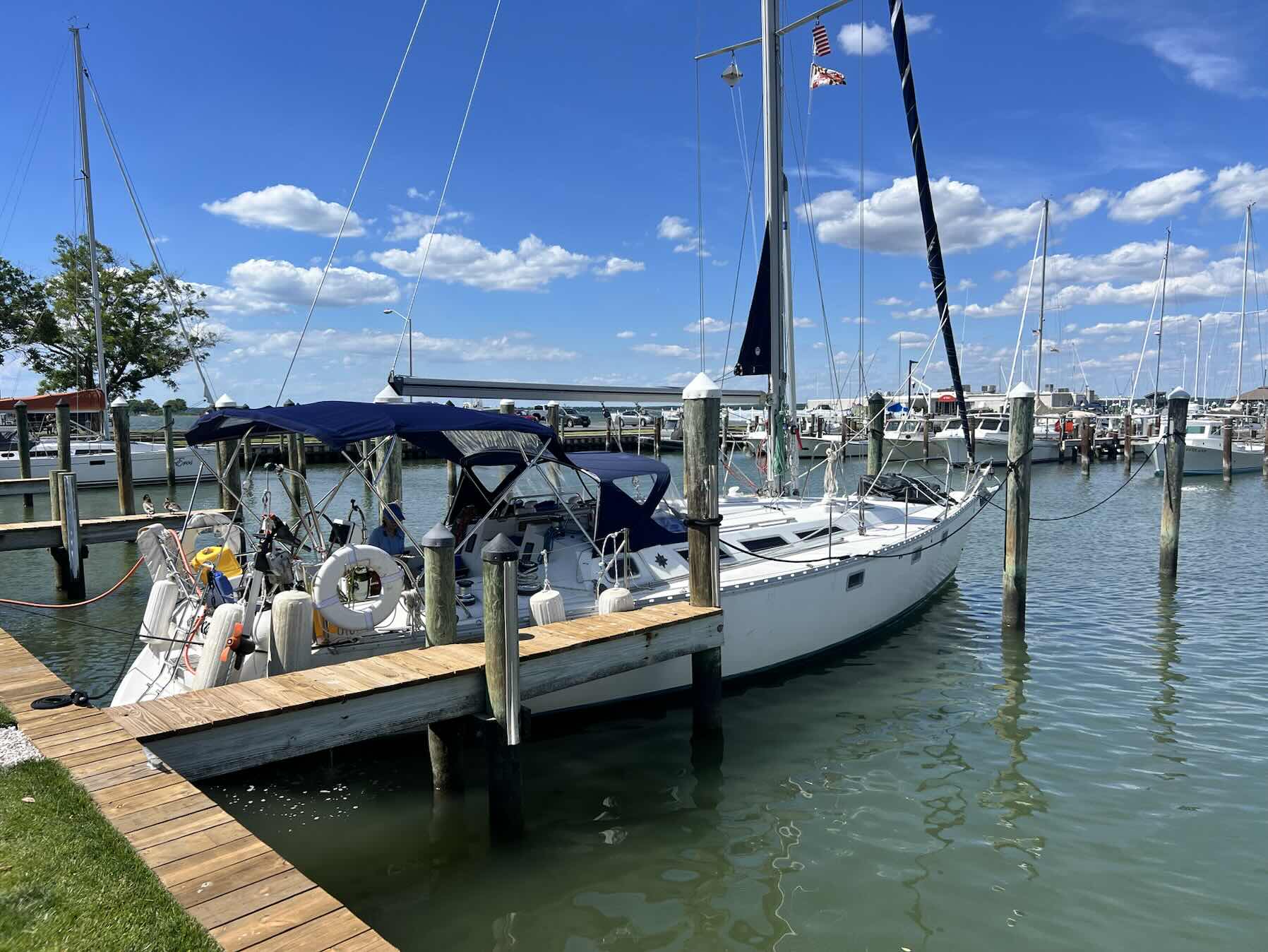 Annapolis to Cambridge _3C20D219-4E14-4840-8972-90243C54619B