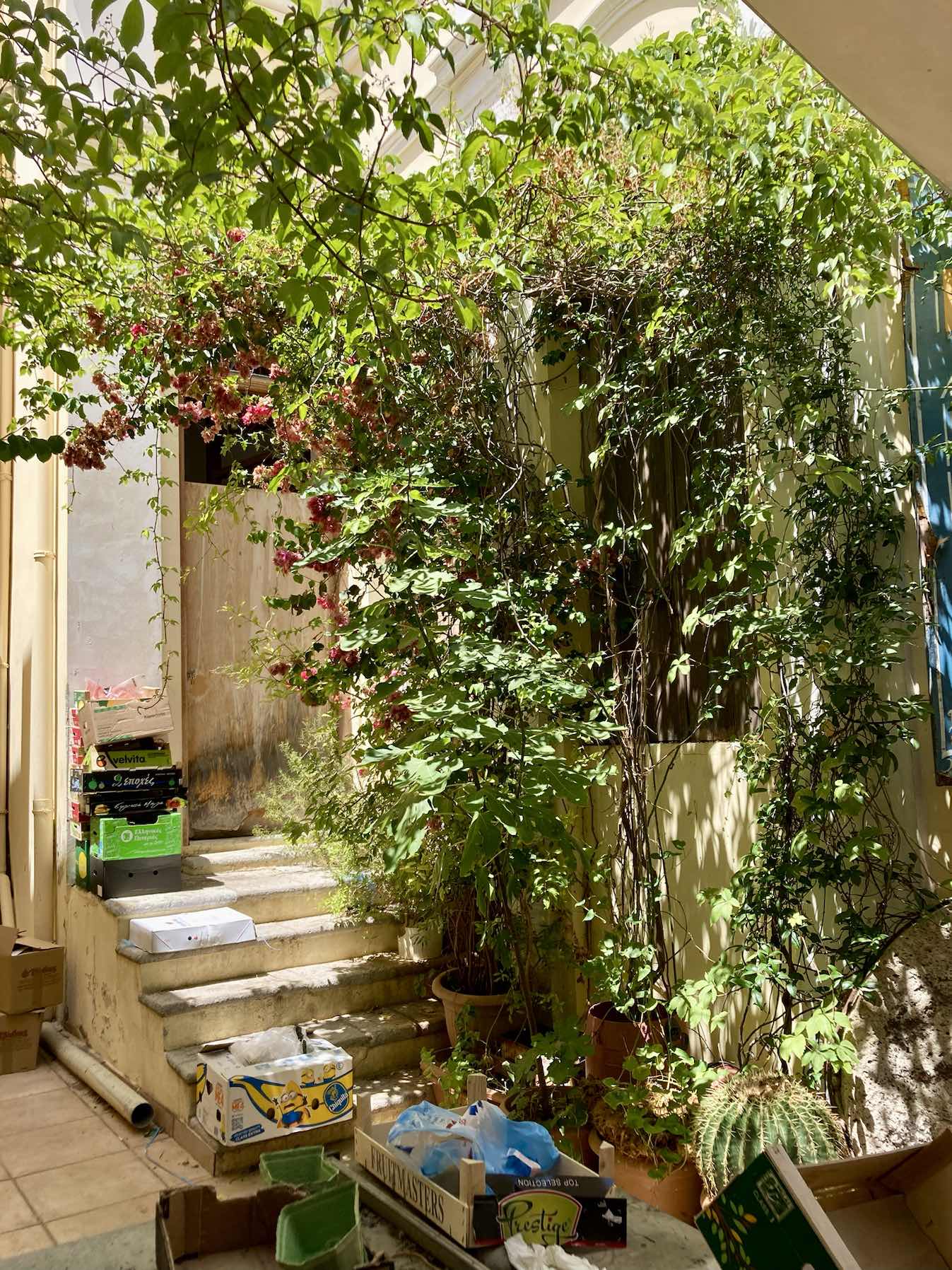 Symi to Pedi (Symi)_EDCABBB2-B27A-4454-9DF8-1F45EE371D92