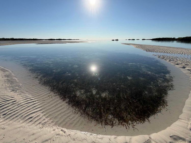 Voyage photo from Double Breasted Cay to Strangers Cay