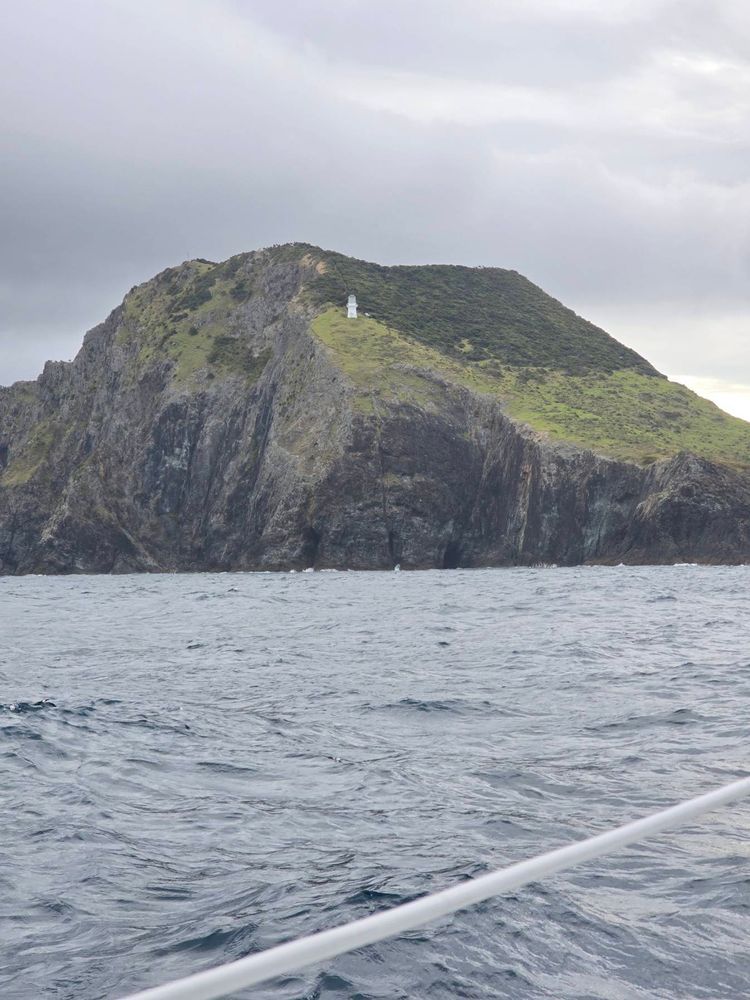 Voyage photo from Whangarei heads to assassin bay boi.