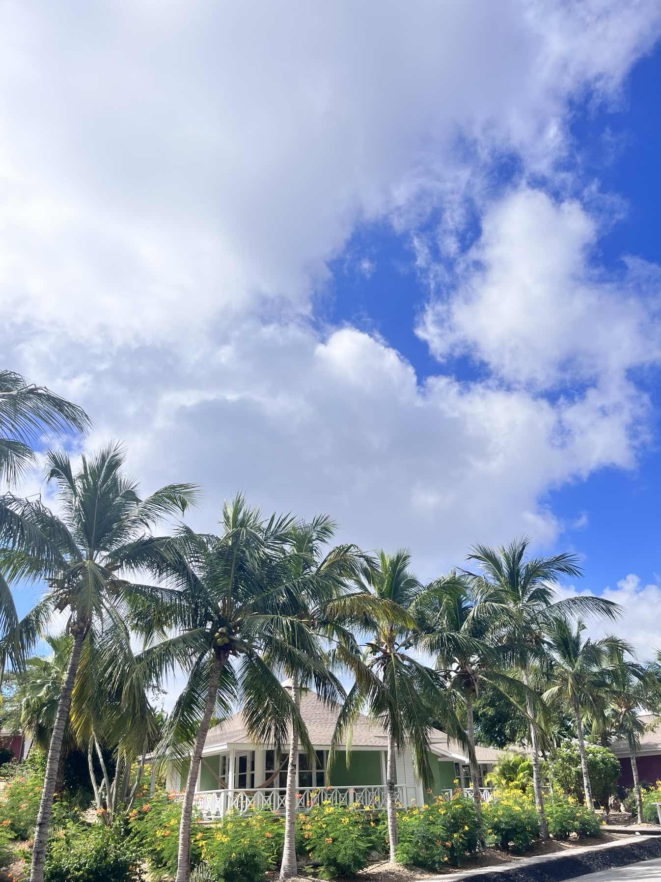 Grenada to curacao halcyon delivery _40706636-9C70-49B0-ACEE-90DCBB446E20