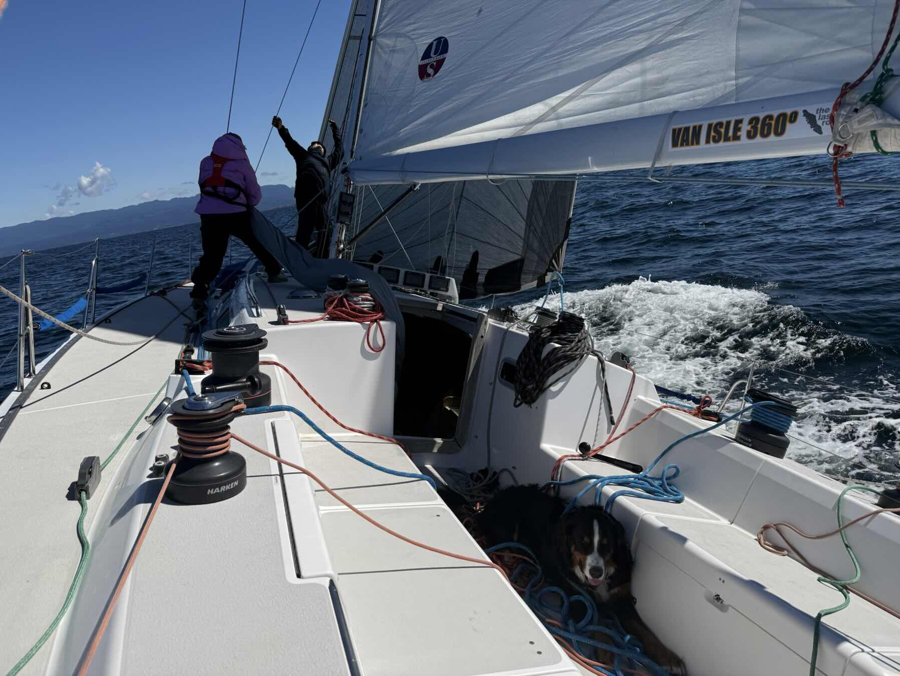 Algerine Passage Race_D15AEBCA-B9E5-4907-AB3D-7CC607DF3056