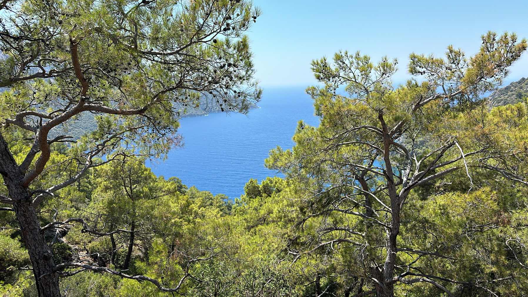 Türkiye 25’_6DD6F032-AFD0-4417-A953-92F8AEA3B37B