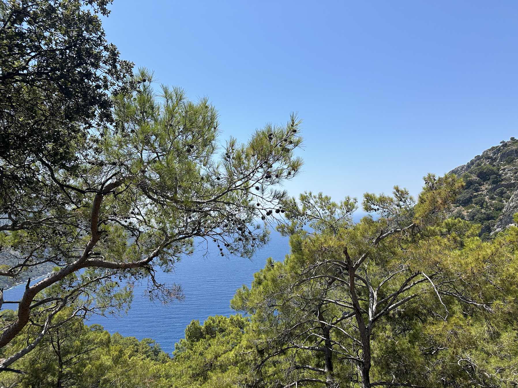 Türkiye 25’_773E6FDB-E0C4-4632-BE24-843F43B5B660