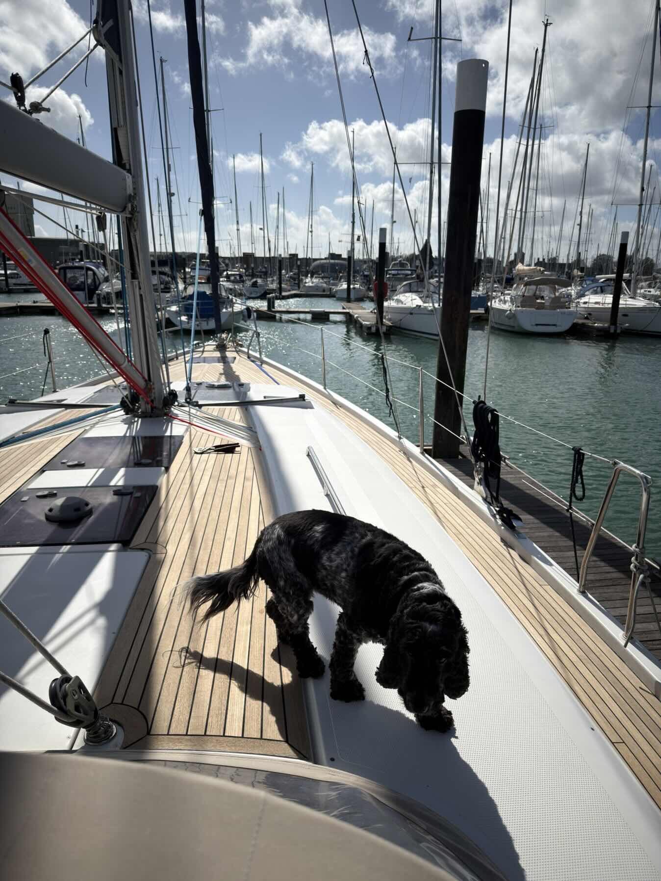 Blustery sail out of Gosport_51AFECA2-A60F-419B-81C5-7CF4725D46E3